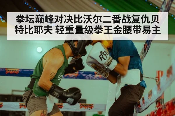 拳坛巅峰对决比沃尔二番战复仇贝特比耶夫 轻重量级拳王金腰带易主