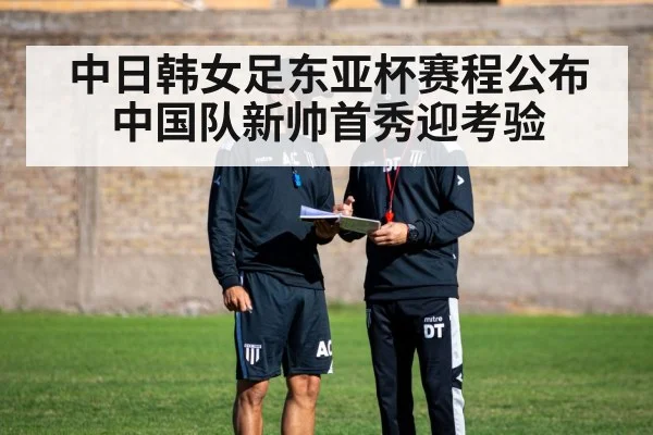 football coach tactical board